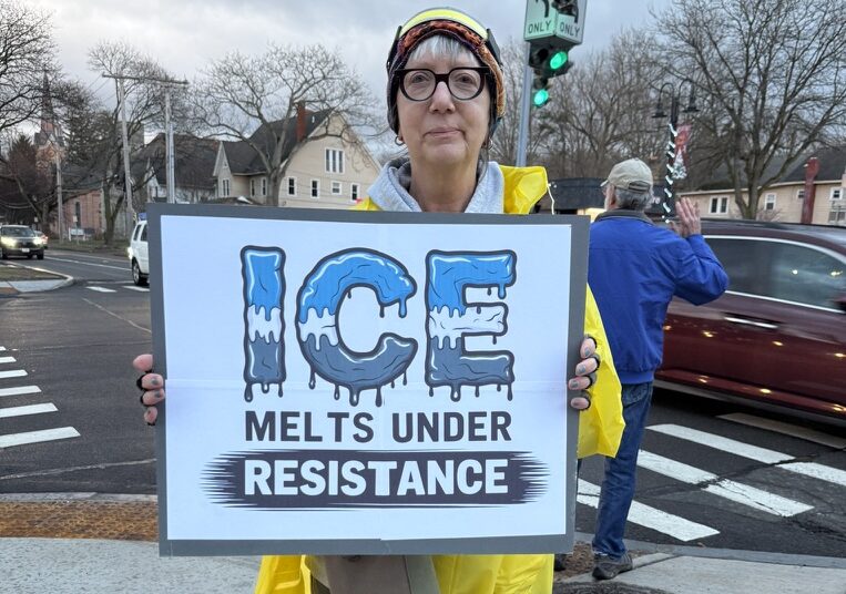 Fairport Friday Honk & Wave Protests for Democracy